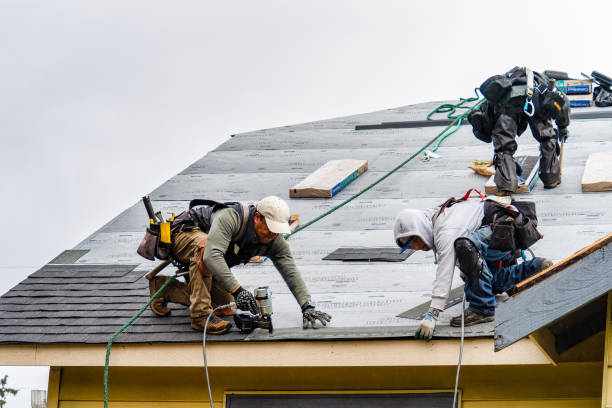 Professional Roof Inspection technician working in Shoup, ID